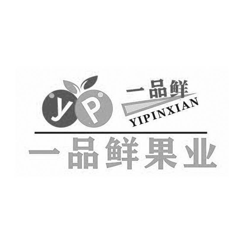 一品鲜果业 一品鲜 yp 商标公告