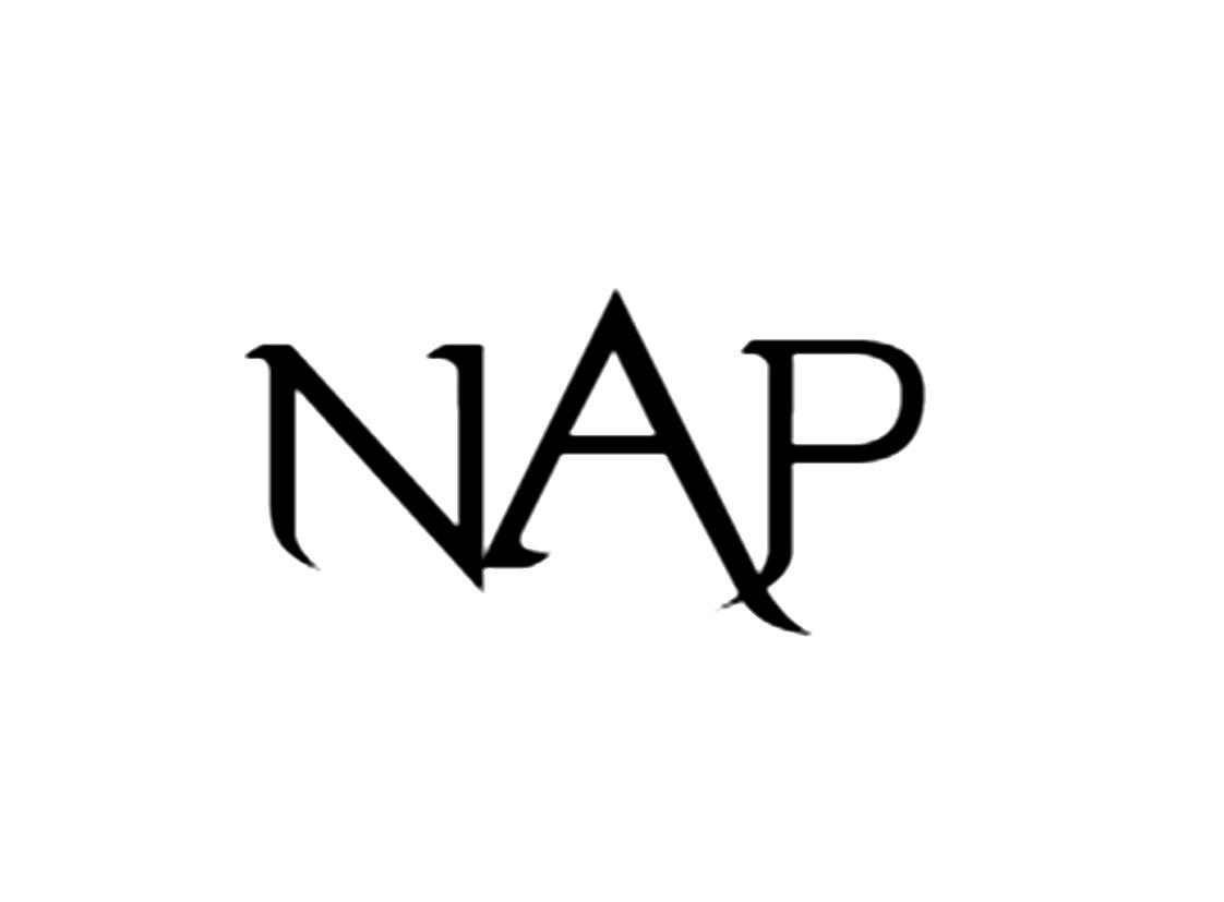 nap 商标公告