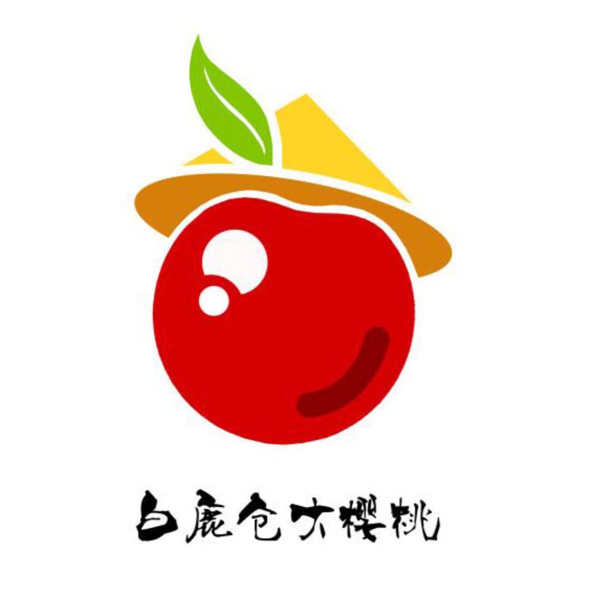 樱桃节标志 画法图片