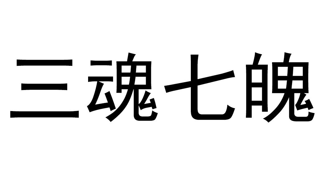 三魂七魄 商标公告
