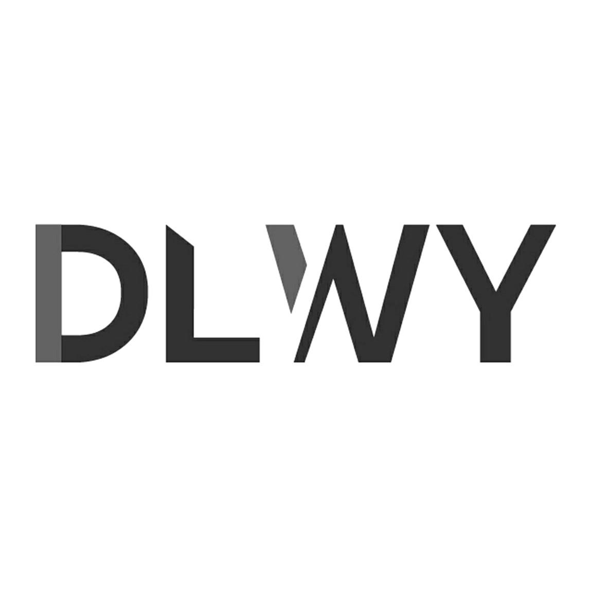 dlwy 商标公告