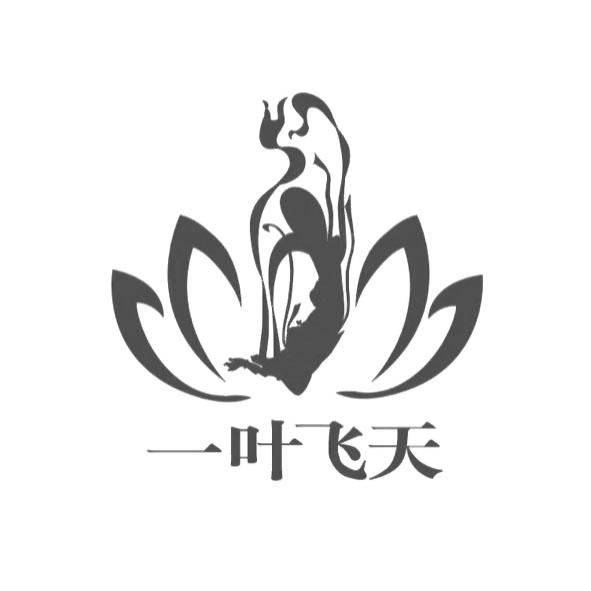一叶飞天 商标公告