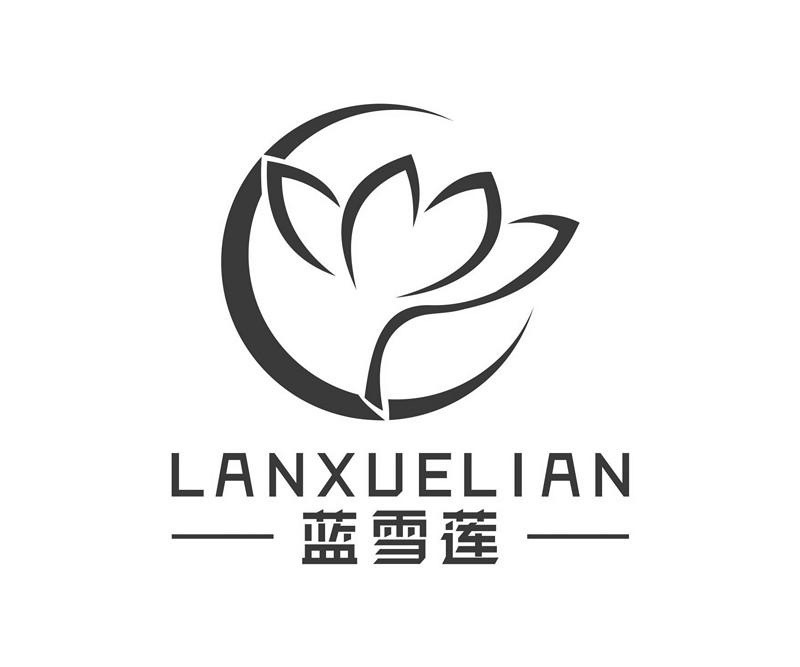 蓝雪莲 商标公告