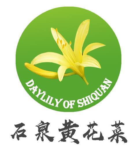 石泉黄花菜  daylily of shiquan 商标公告