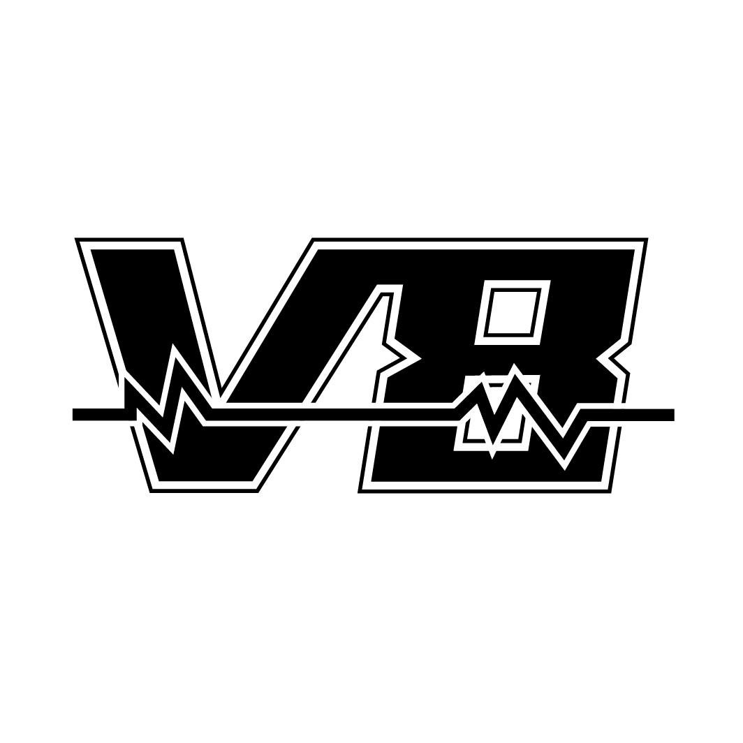 v 8 商标公告