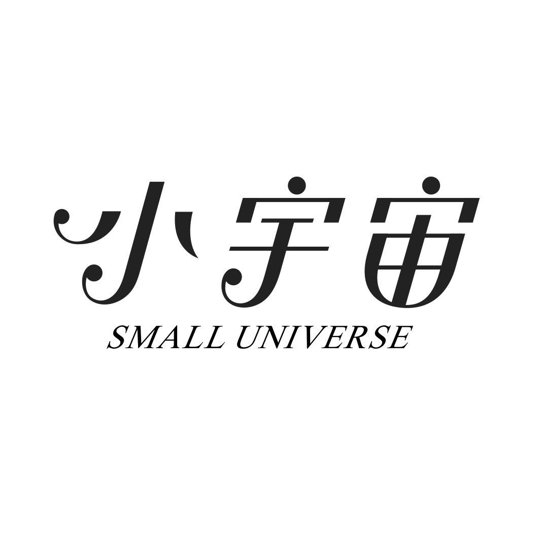 小宇宙 small universe