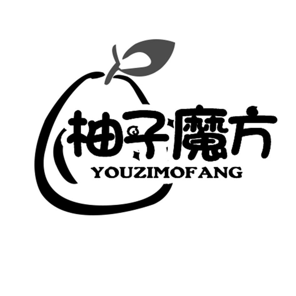 柚子魔方 商标公告