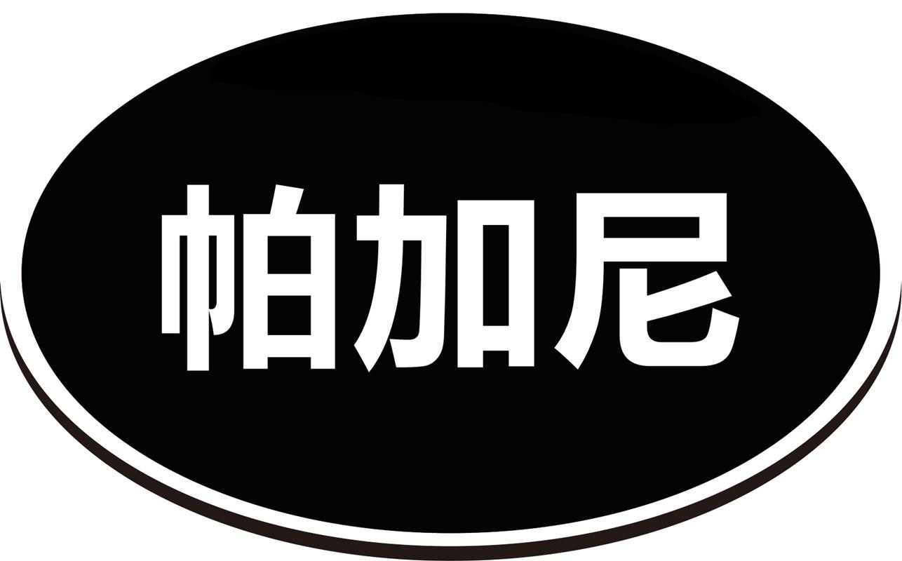 帕加尼 商标公告
