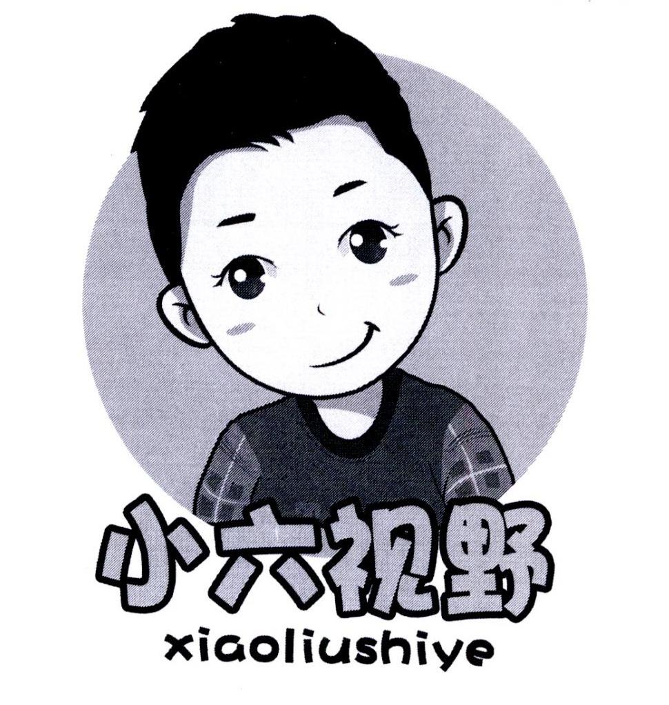 小六视野 商标公告