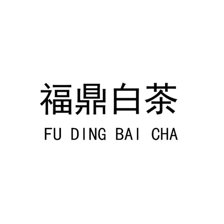 福鼎白茶 商标公告