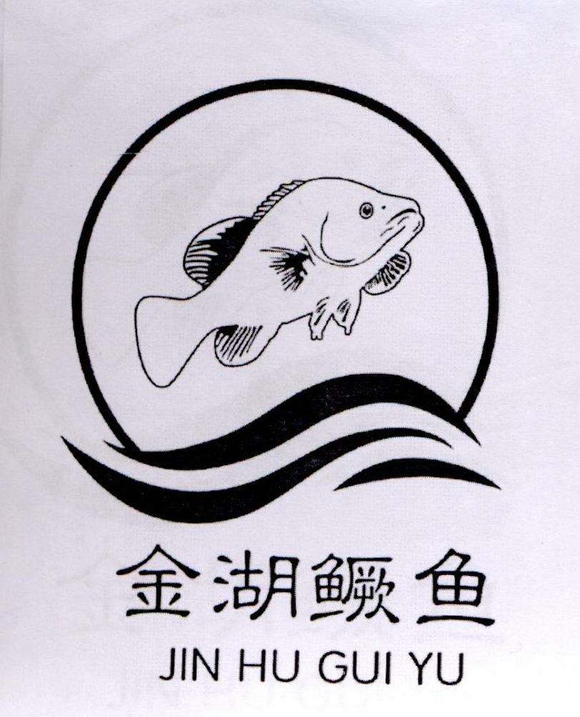 金湖鳜鱼 商标公告