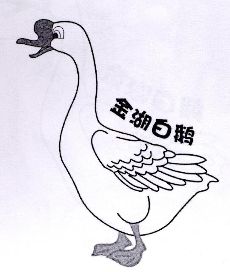 金湖白鹅 商标公告