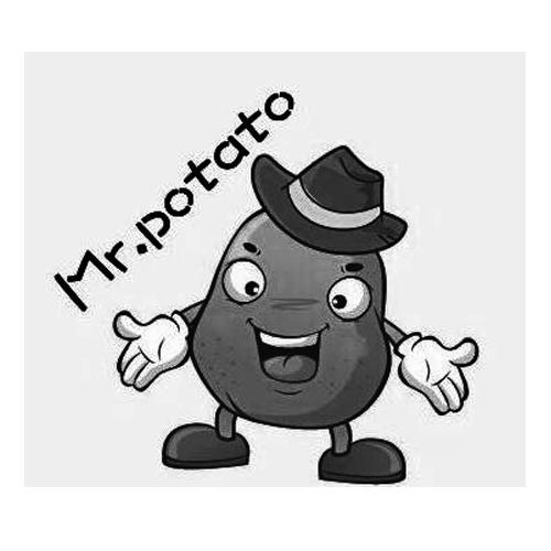 mr.potato 商标公告