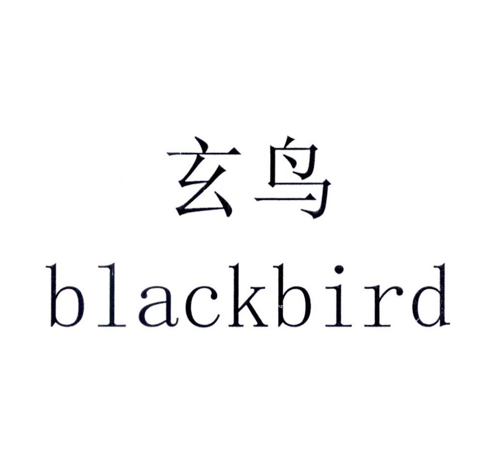 玄鸟 blackbird 商标公告