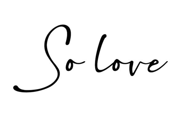 so love 商标公告