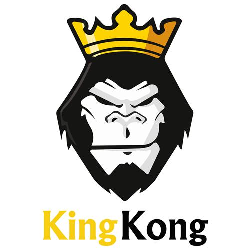 kingkong 商标公告