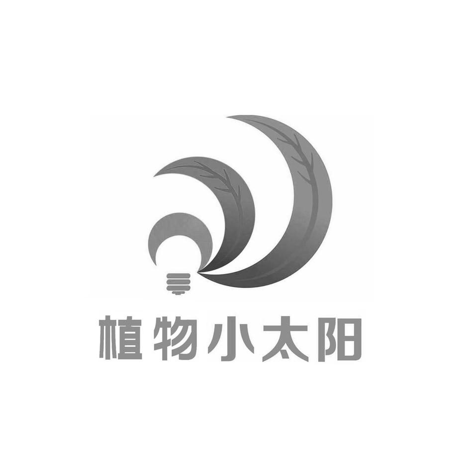 植物小太阳 商标公告