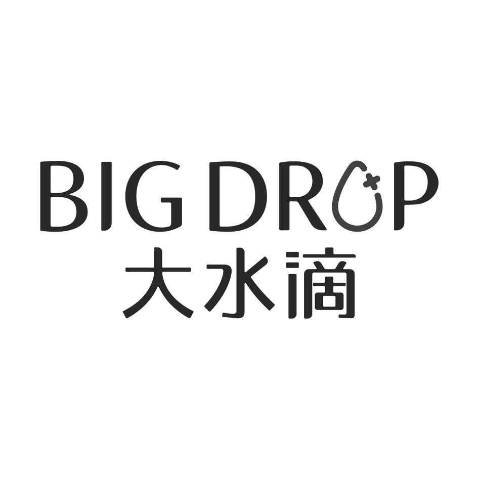 大水滴 big drop商标公告