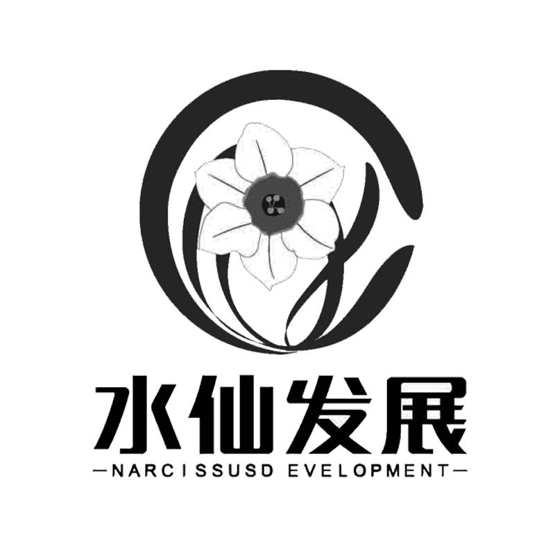 水仙花logo图片大全图片