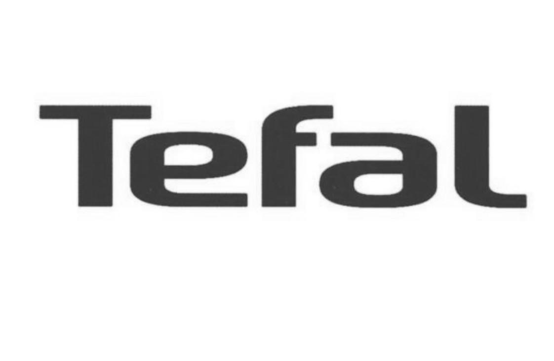 tefal 商标公告