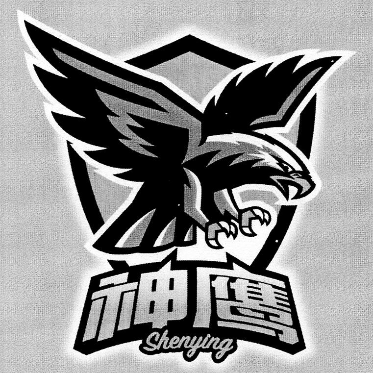 神鹰 商标公告