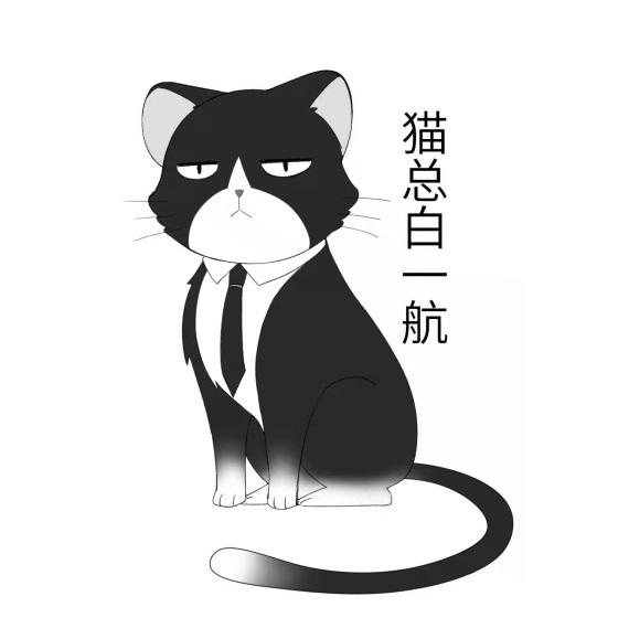 猫总白一航 商标公告