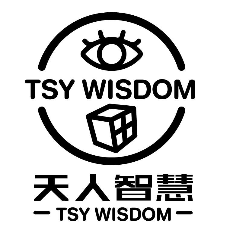 天人智慧 tsy wisdom 商标公告