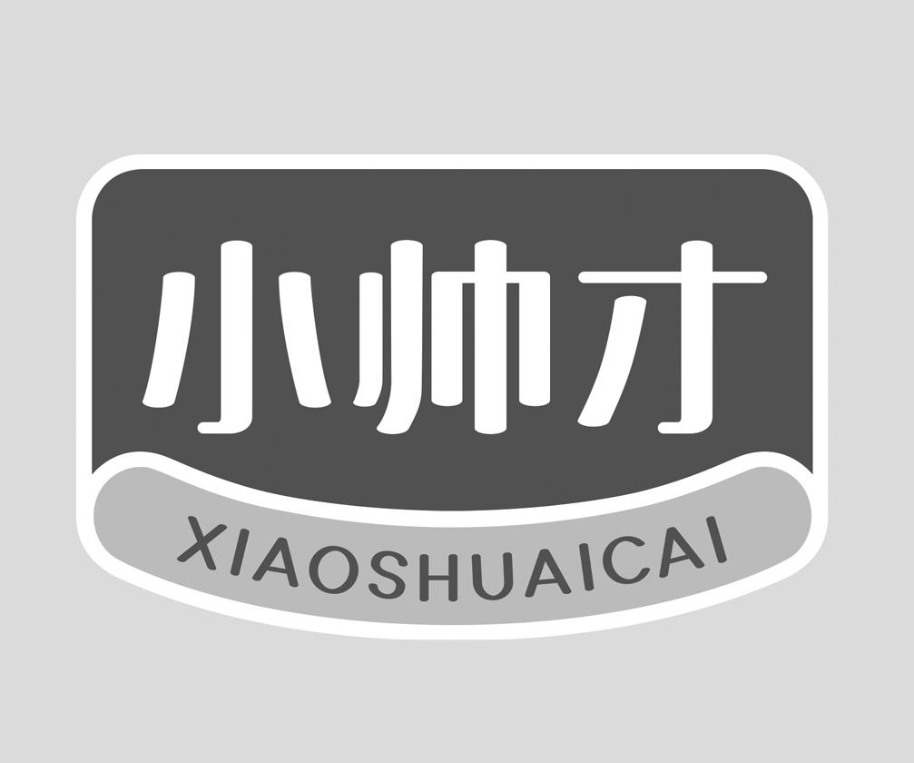 小帅才 商标公告