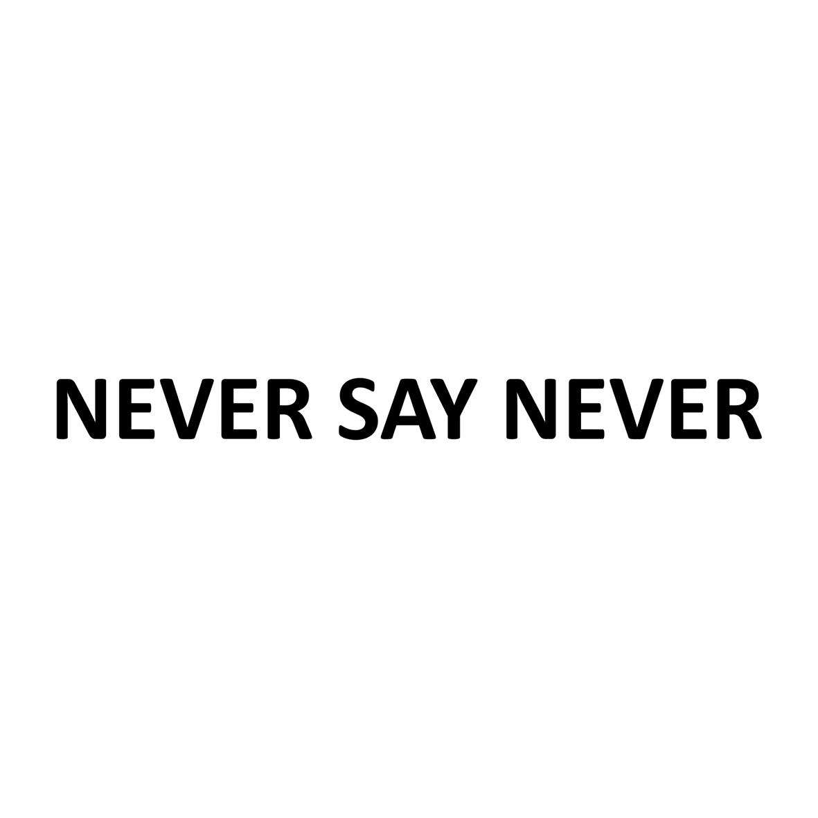 never say never 商标公告