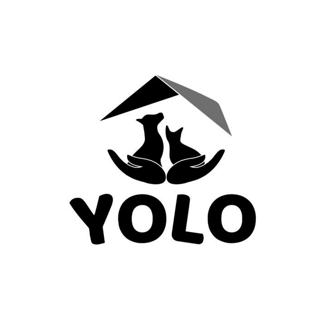 yolo 商标公告