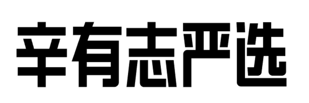 辛有志严选logo图片