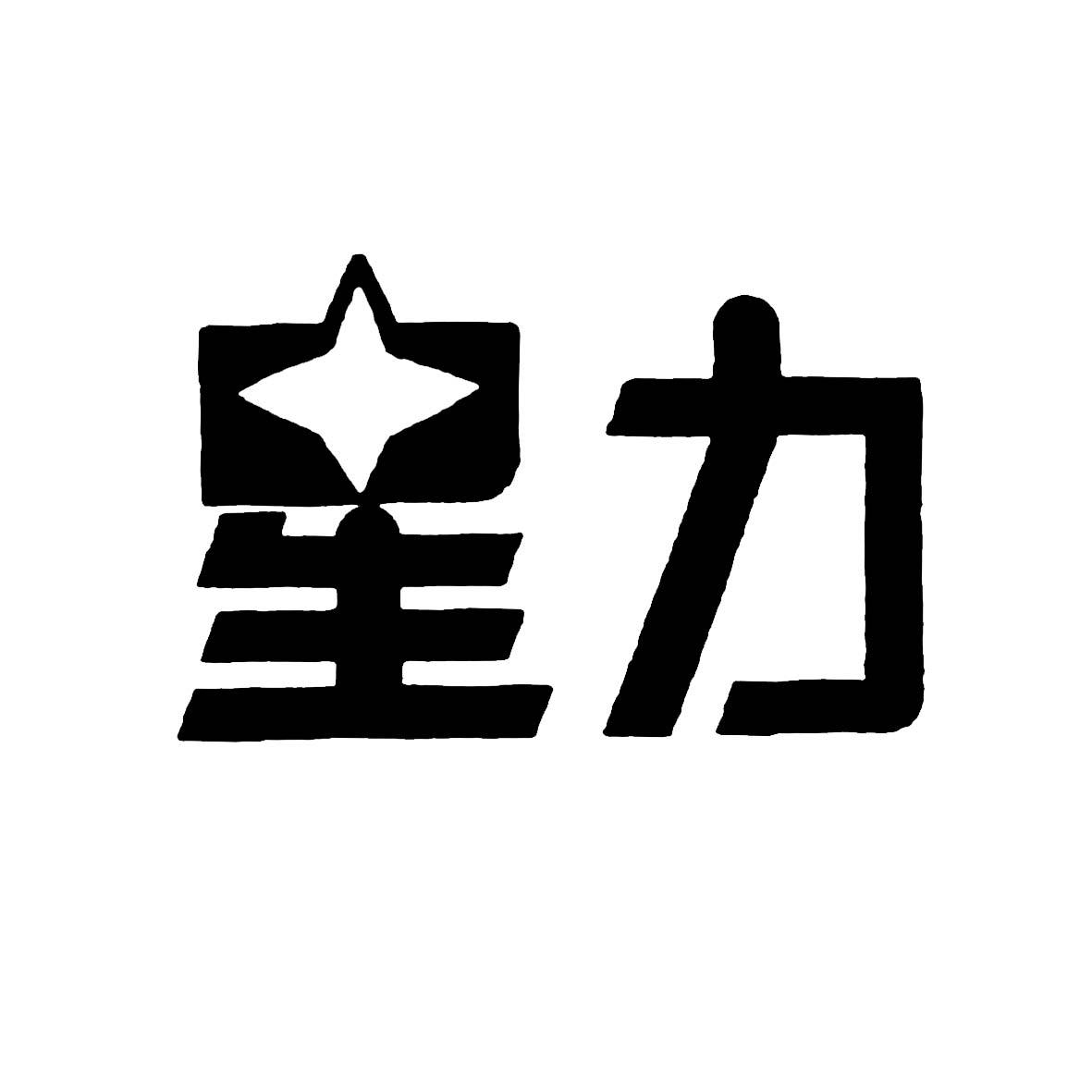 正版星力 logo图片