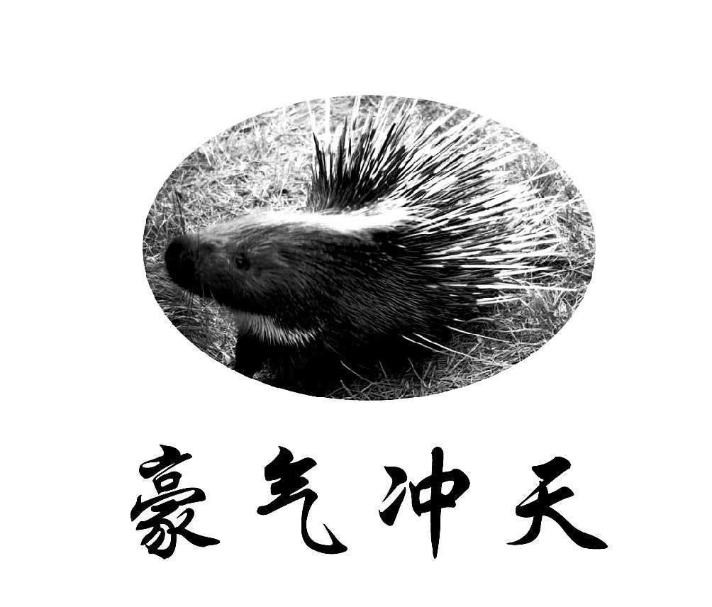 豪气冲天 商标公告