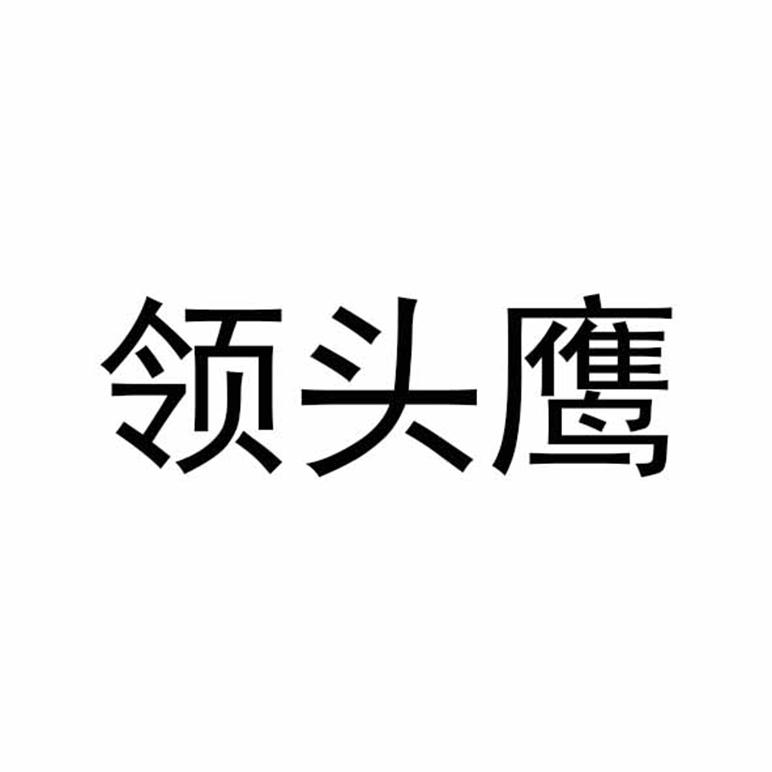 领头鹰 商标公告