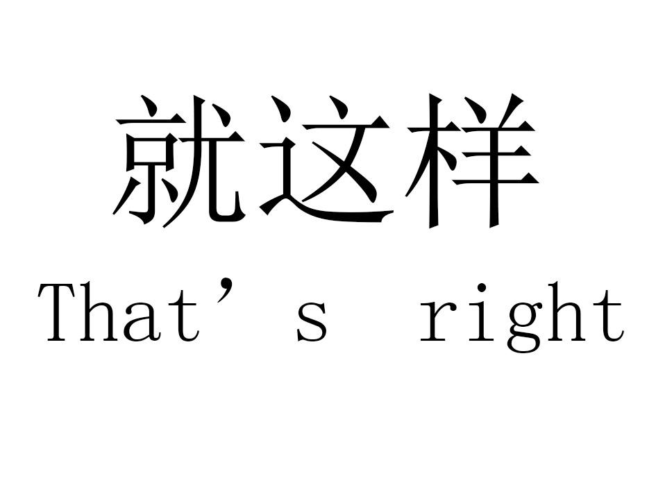 就这样 that&