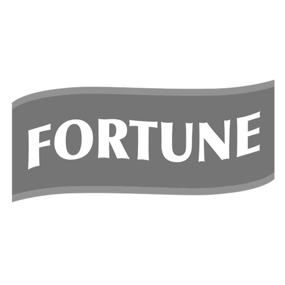 fortune 商标公告