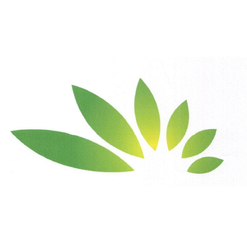 图形 商标公告