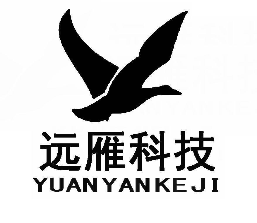 远雁科技 商标公告