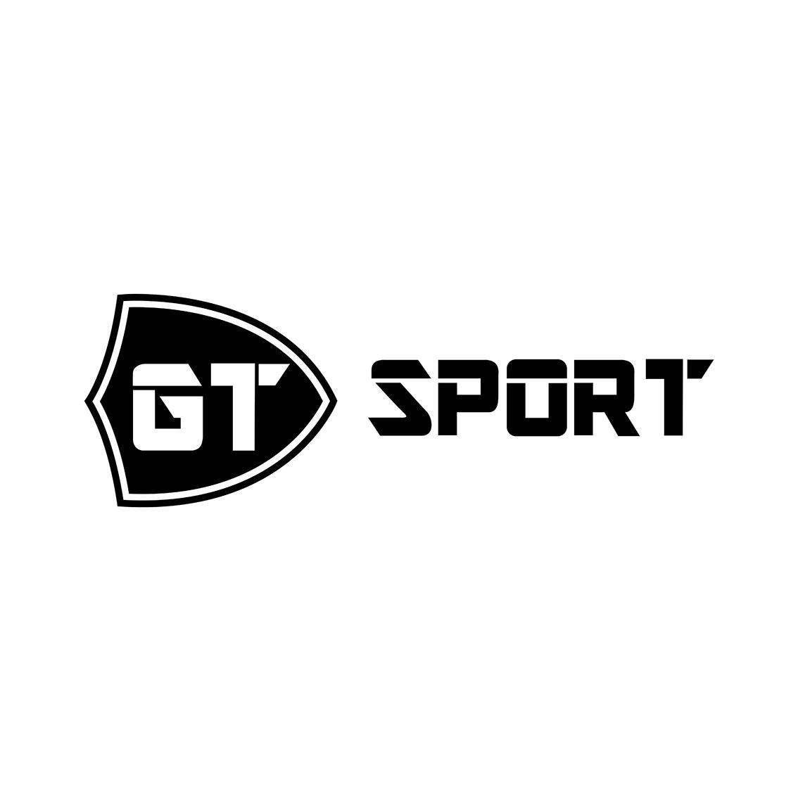 gt sport 商标公告
