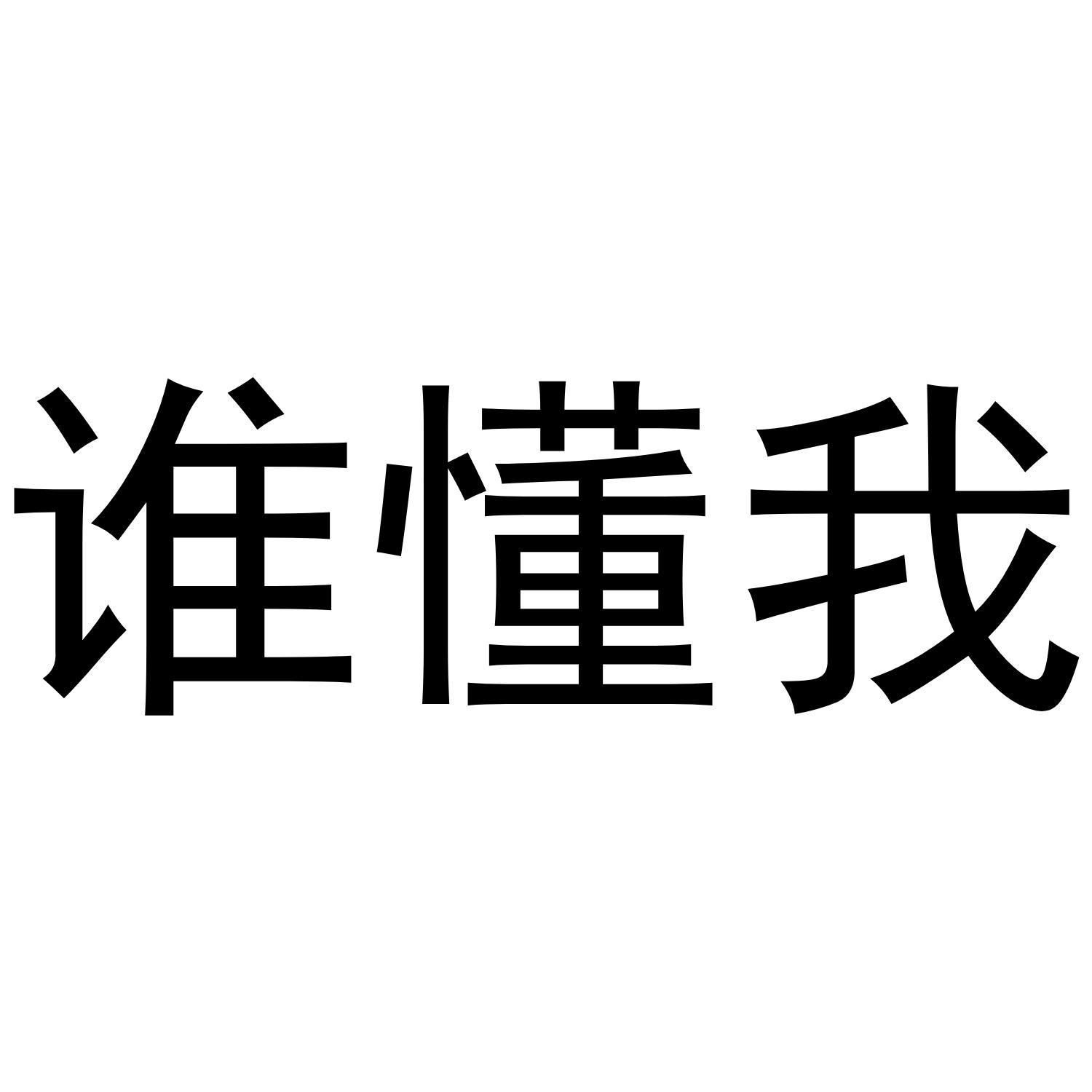 谁懂我 商标公告