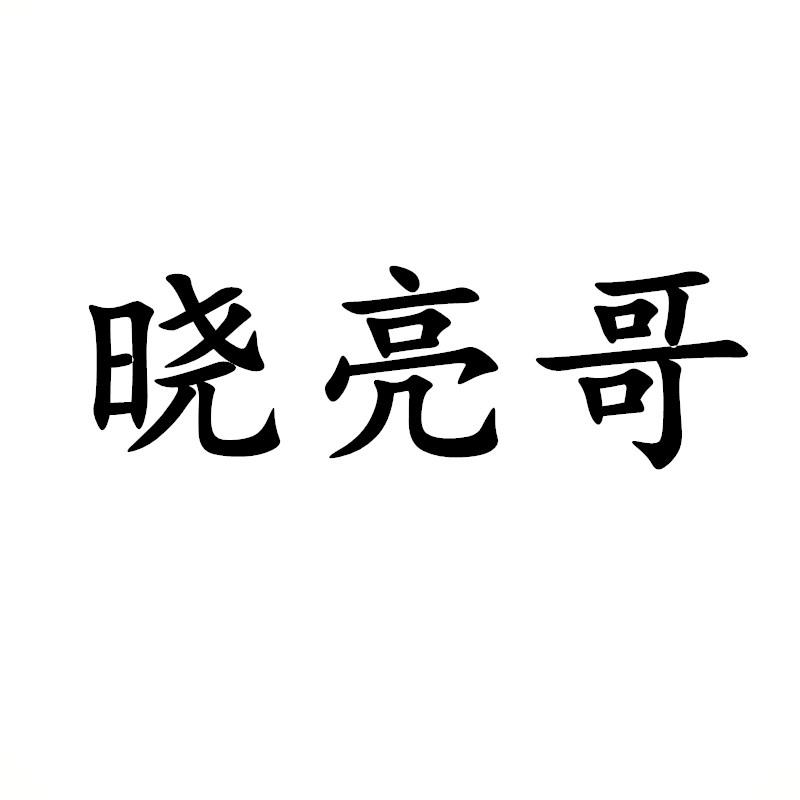 晓亮哥 商标公告