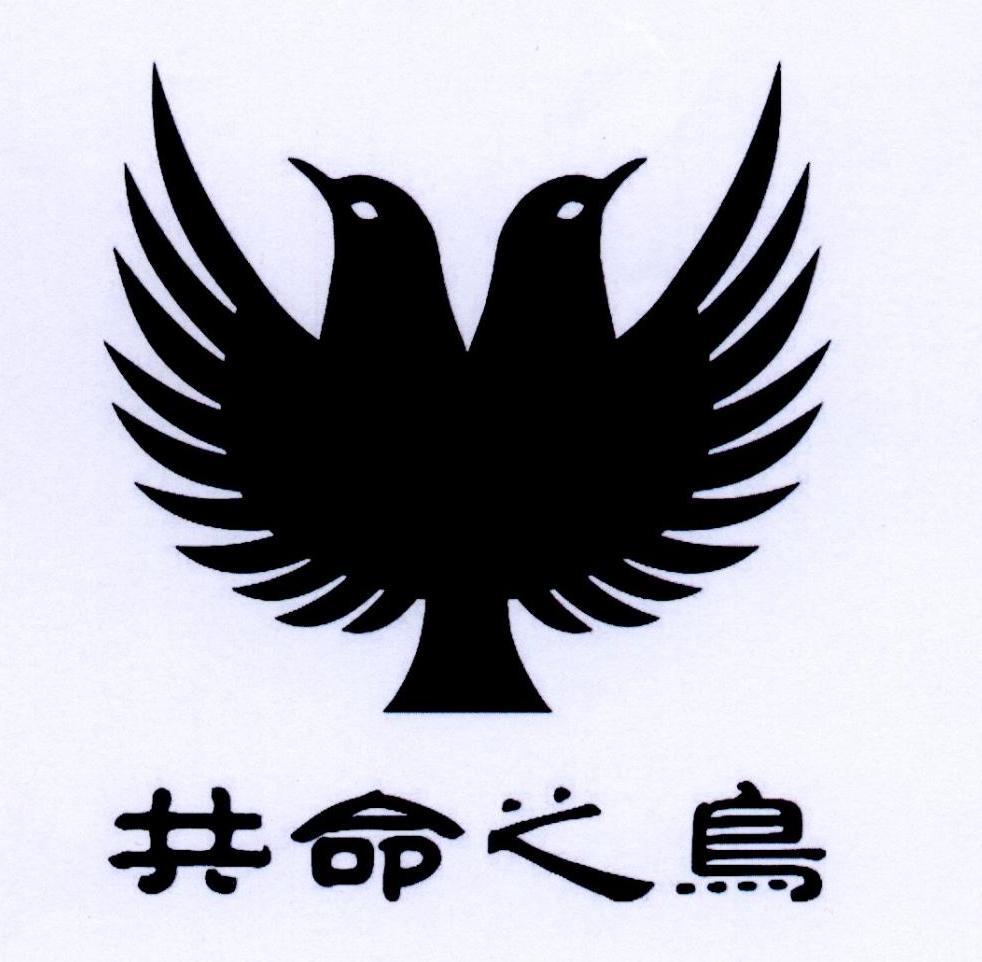 共命之鸟 商标公告