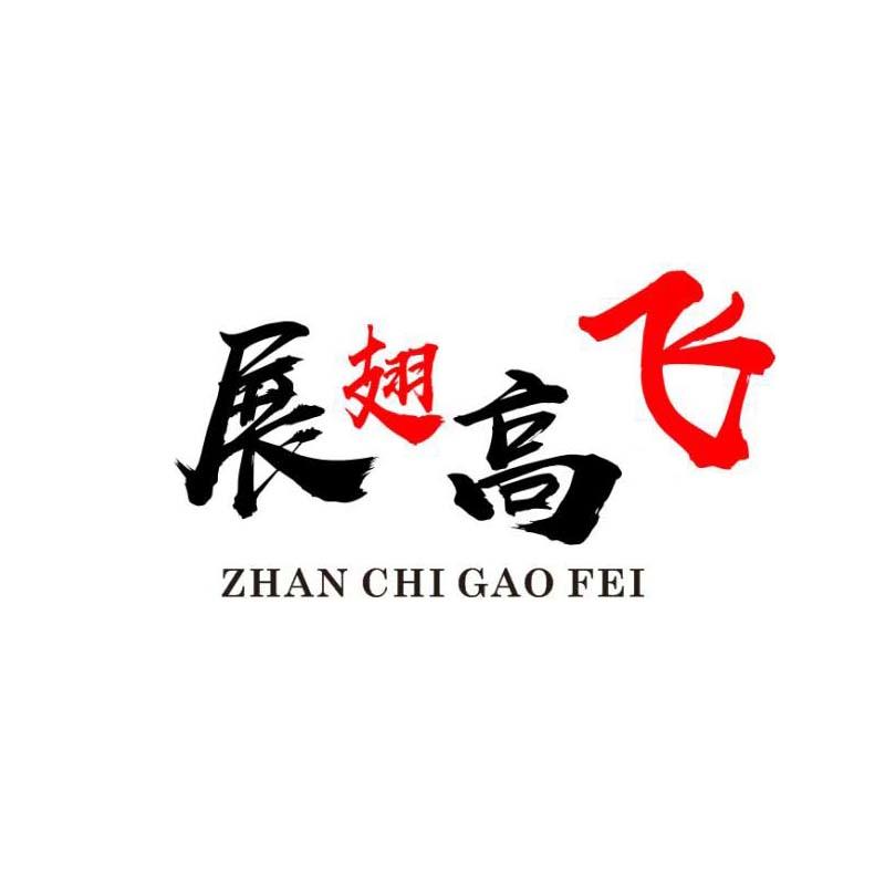 展翅高飞 商标公告