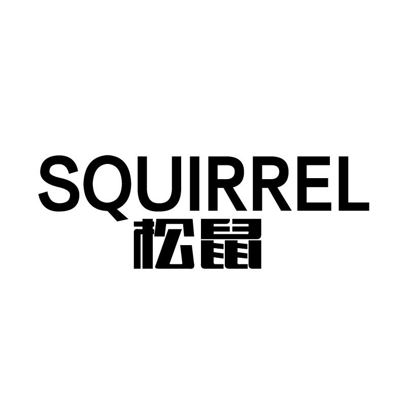 松鼠 squirrel 商标公告