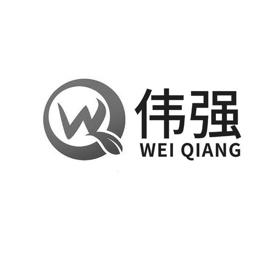 伟强 wq 商标公告