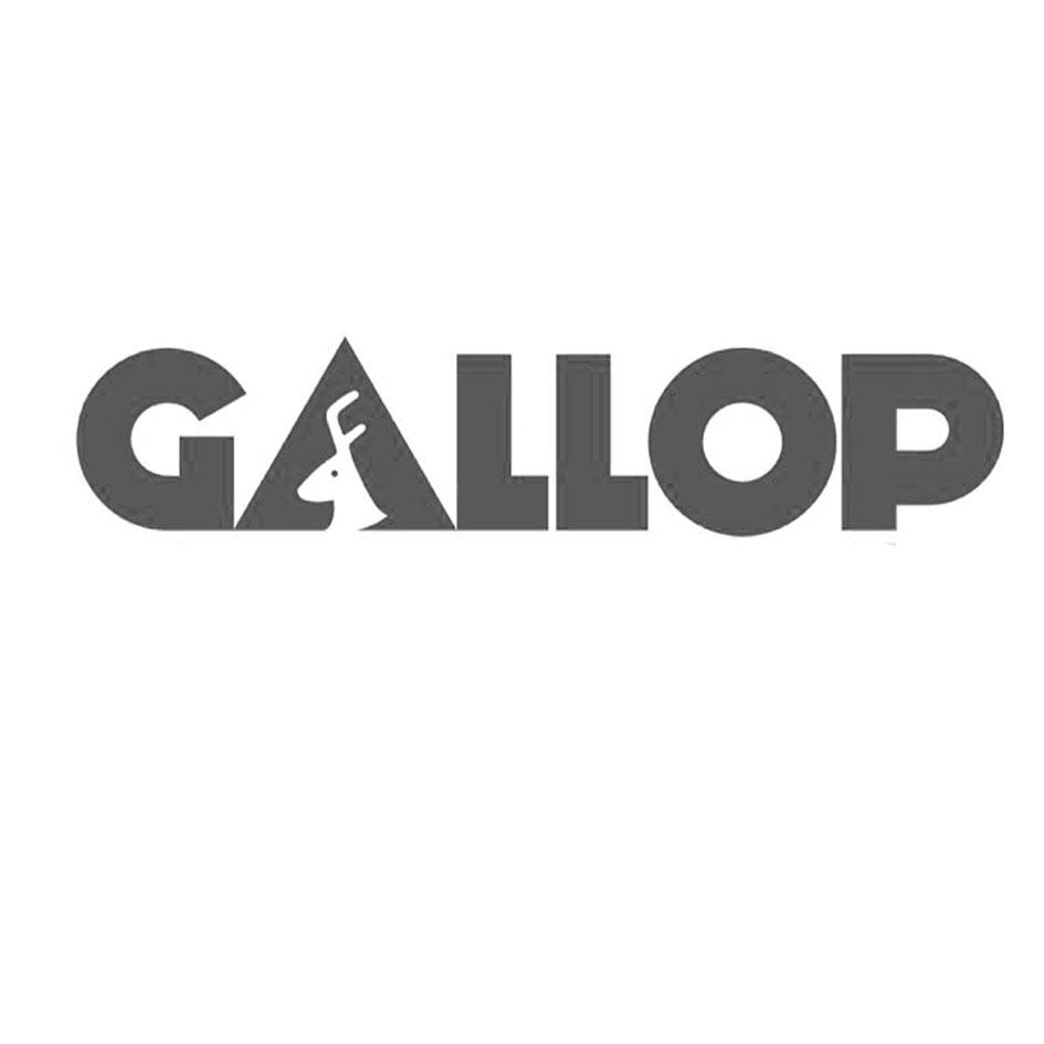 gallop 商标公告