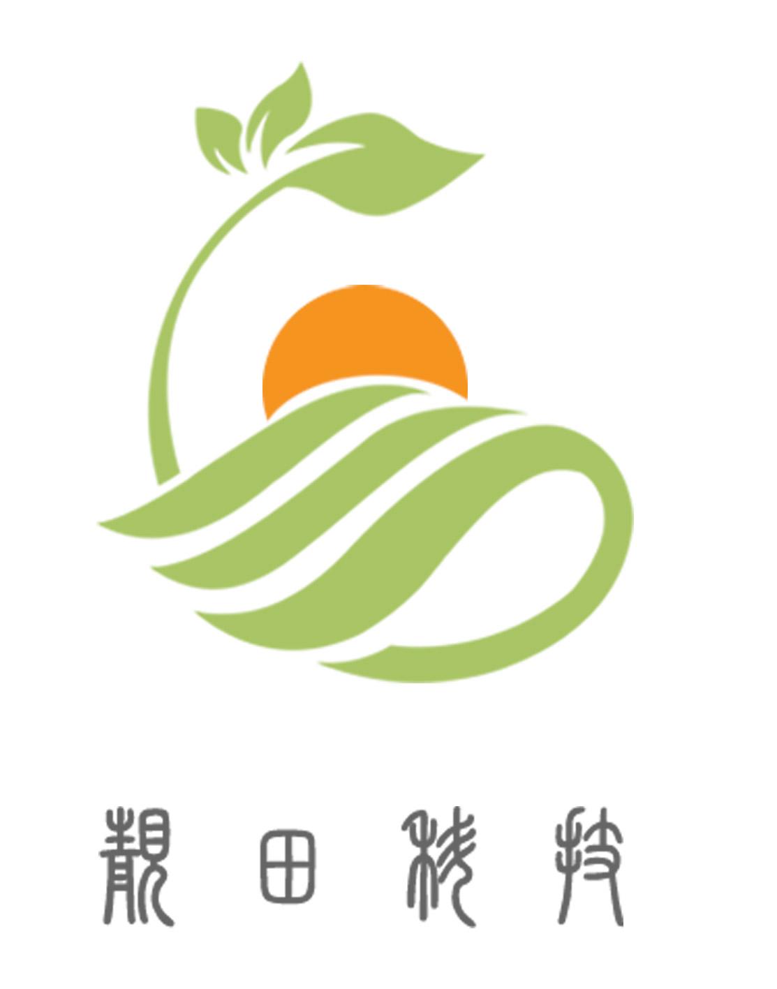 靓田科技 商标公告