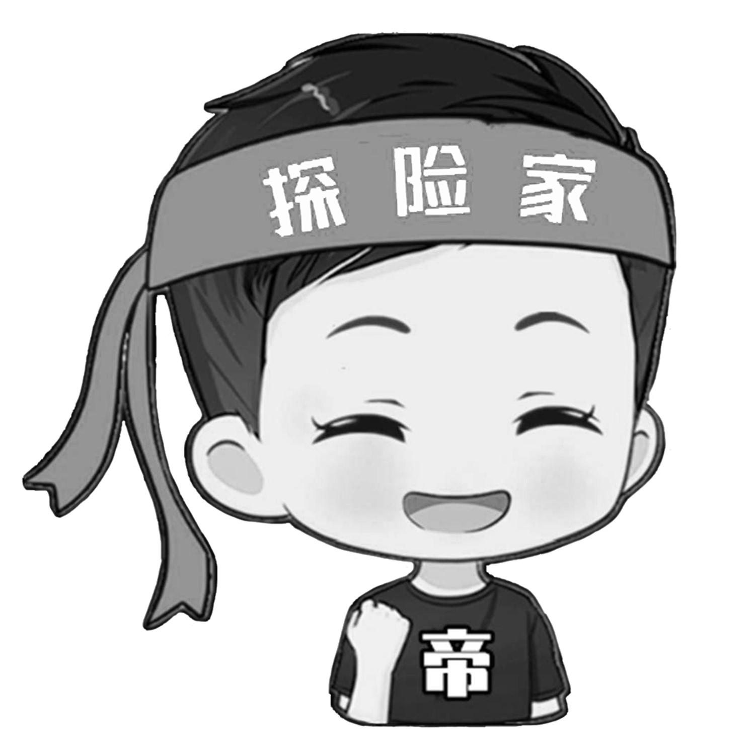 探险家 帝 商标公告