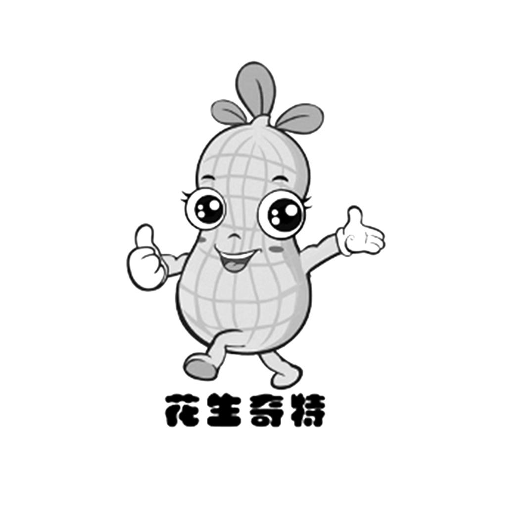 花生奇特 商标公告