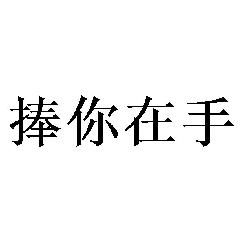 捧你在手 商标公告